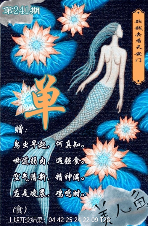 美人鱼单双中特图